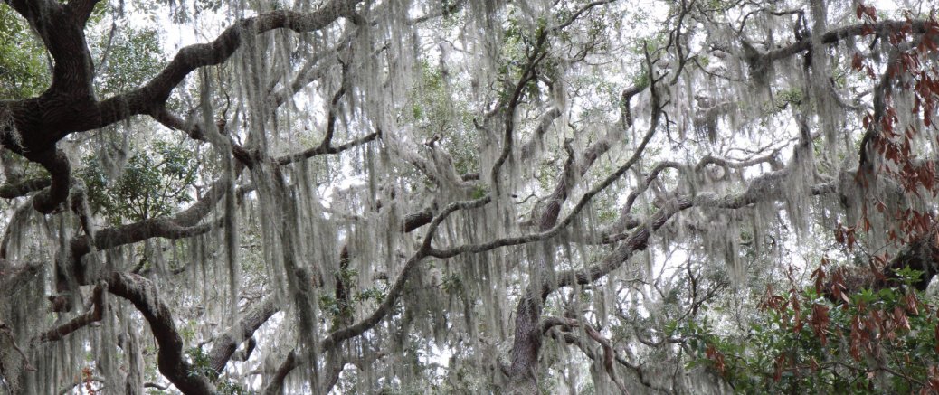 De Charlottesville à Key West