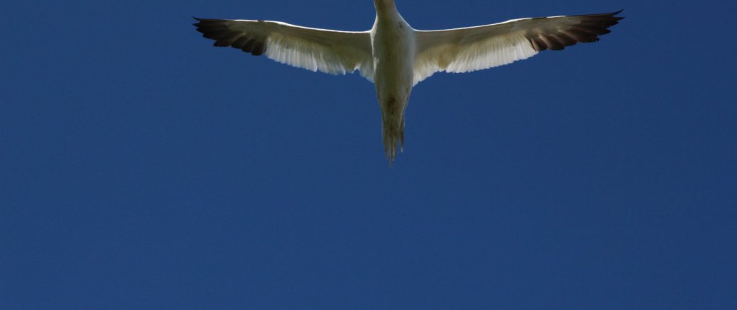 Les mémoires de Glourque