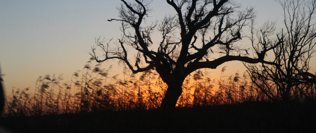 De New Orleans à San Antonio
