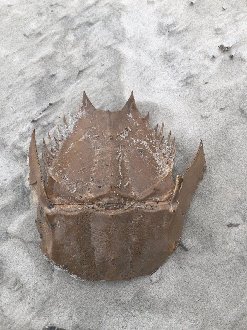 signal-2023-02-01-205532_008