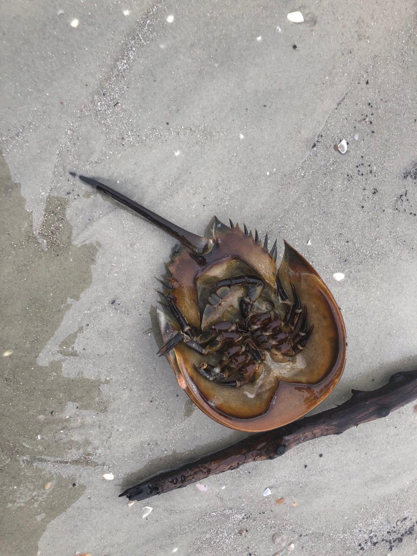 signal-2023-02-01-205532_009