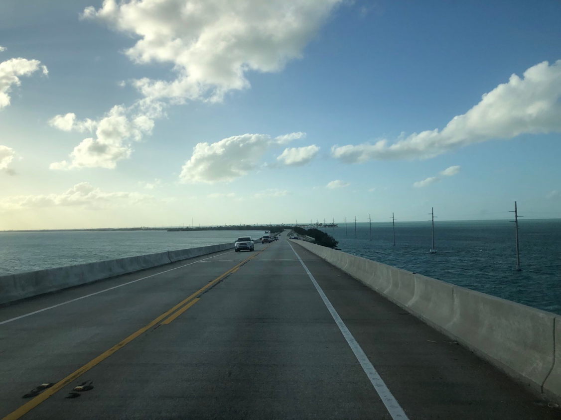 signal-2023-02-01-205532_014