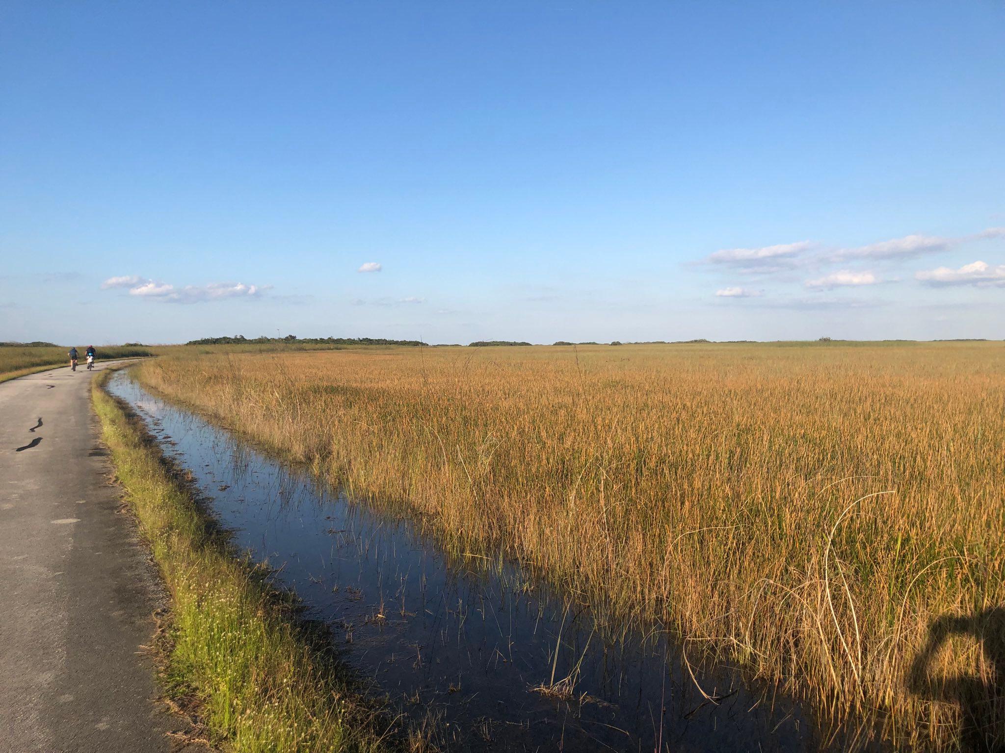 signal-2023-02-21-000633_005