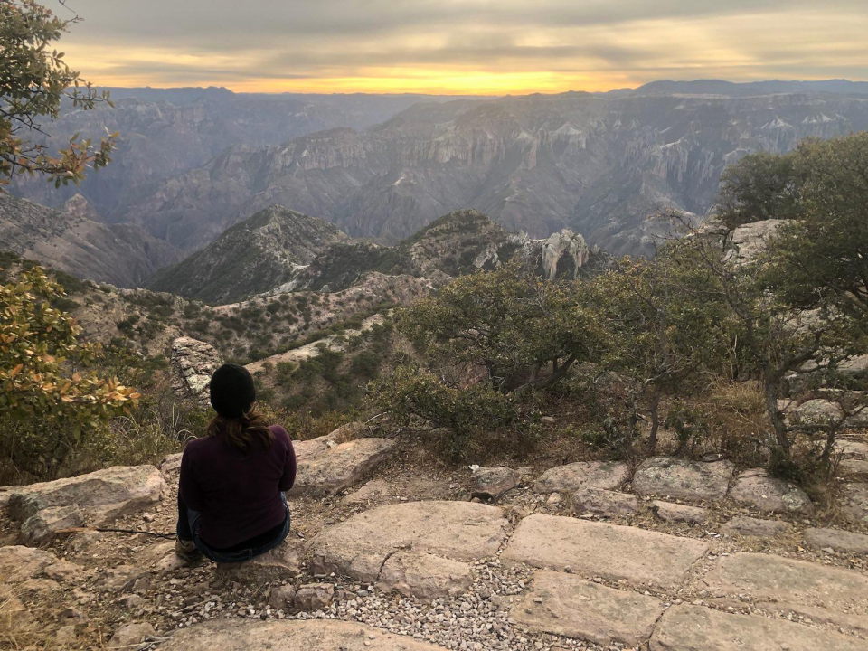 signal-2023-05-30-201338_002_v1