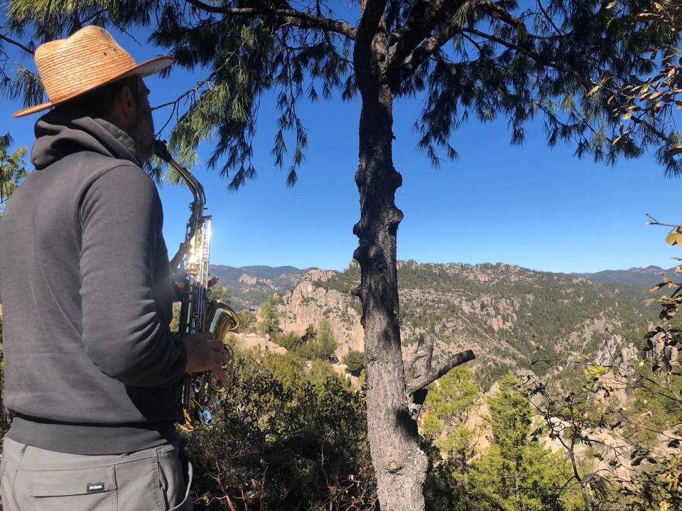 signal-2023-05-30-201401_003_v1