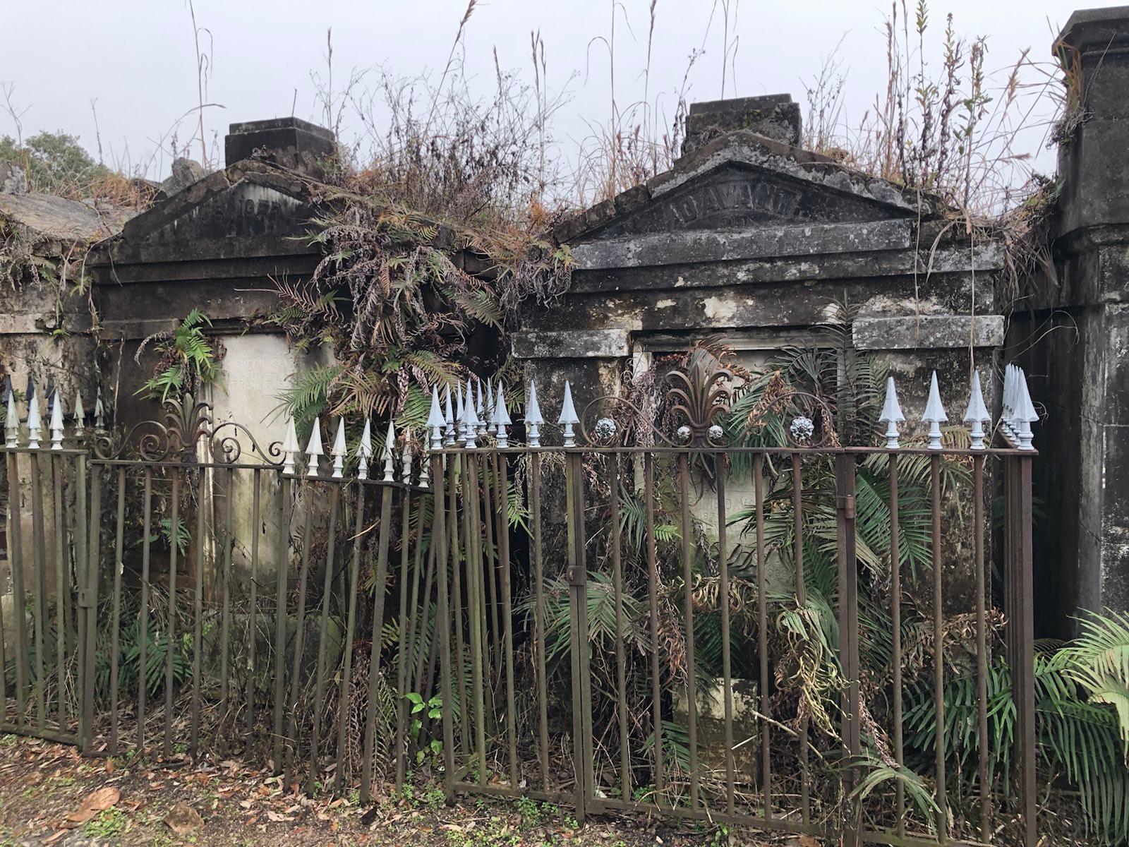 signal-2023-03-03-210544_002