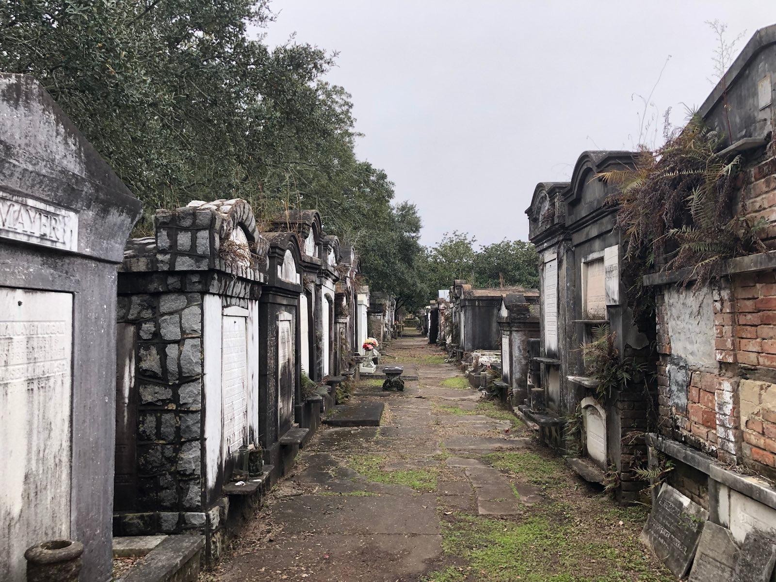 signal-2023-03-03-210544_003