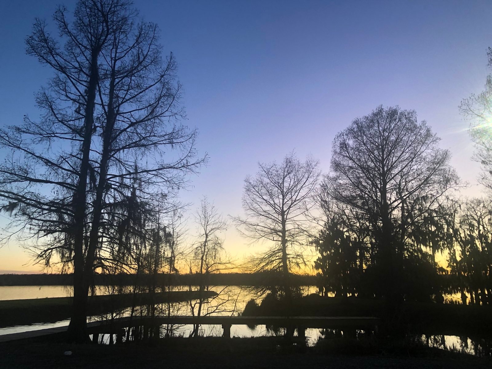 signal-2023-03-03-210544_011