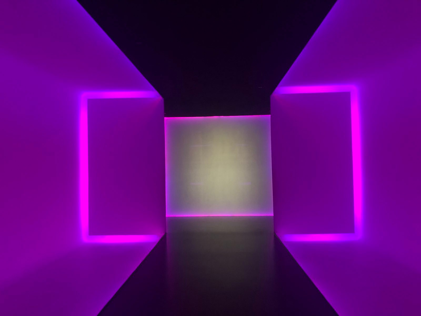 signal-2023-03-03-213551_006