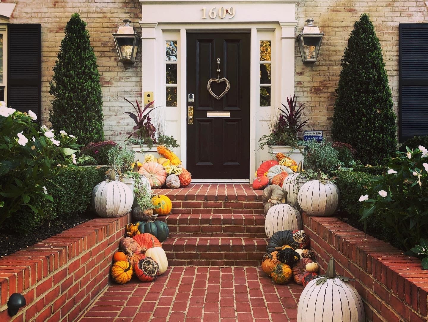 9C081C8F-C718-435F-A887-F6163DD4F5C3