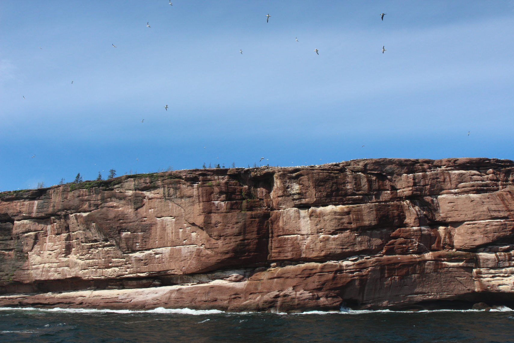 Perce_Bonaventure_423