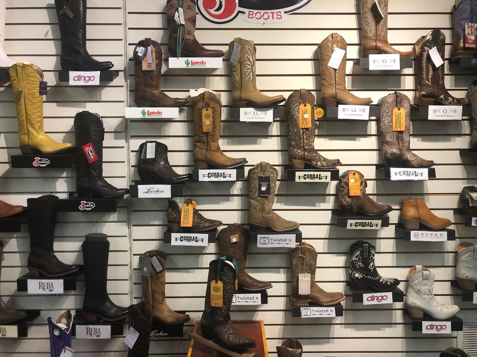 signal-2023-03-11-195553_003