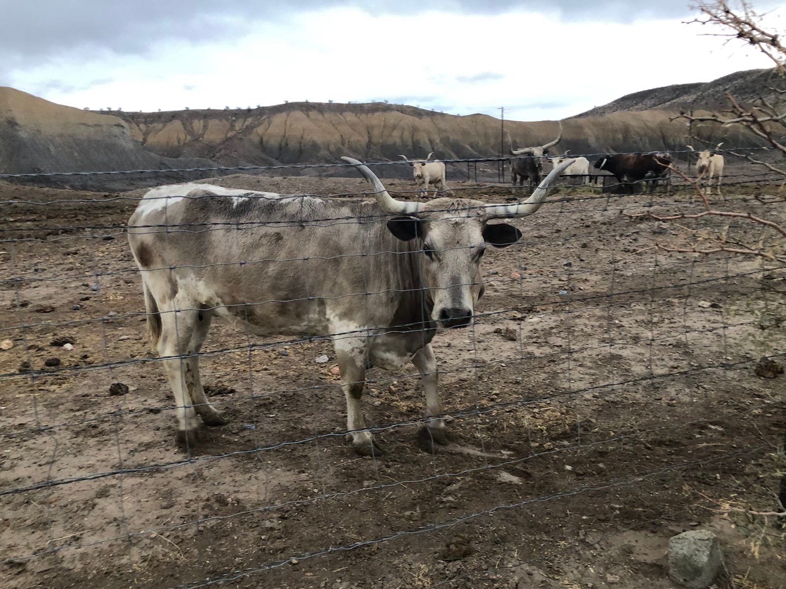 signal-2023-03-11-195553_006