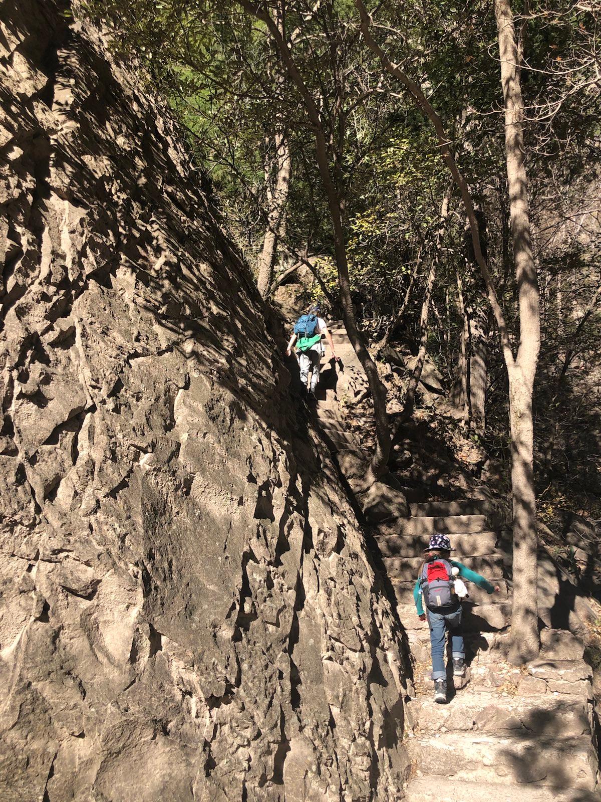 Le Chat & Léo en train de grimper